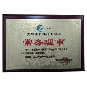 青島市軟件行業(yè)協(xié)會-常務(wù)理事（有效期2015年1月）